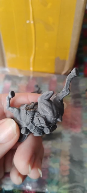Buyer photo of this resin kit