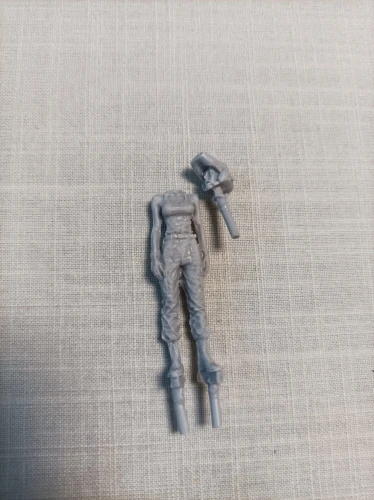 Buyer photo of this resin kit