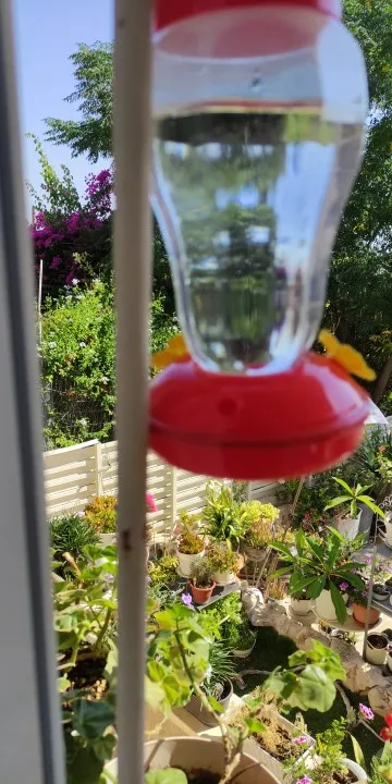 480ML Plastics Bird Water Feeder Bottle Clear Hanging Hummingbird Feeder For Garden Plastic Flower Iron Hook Pet Bird Supplies photo review