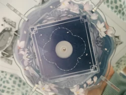 Imagen de reseña 4