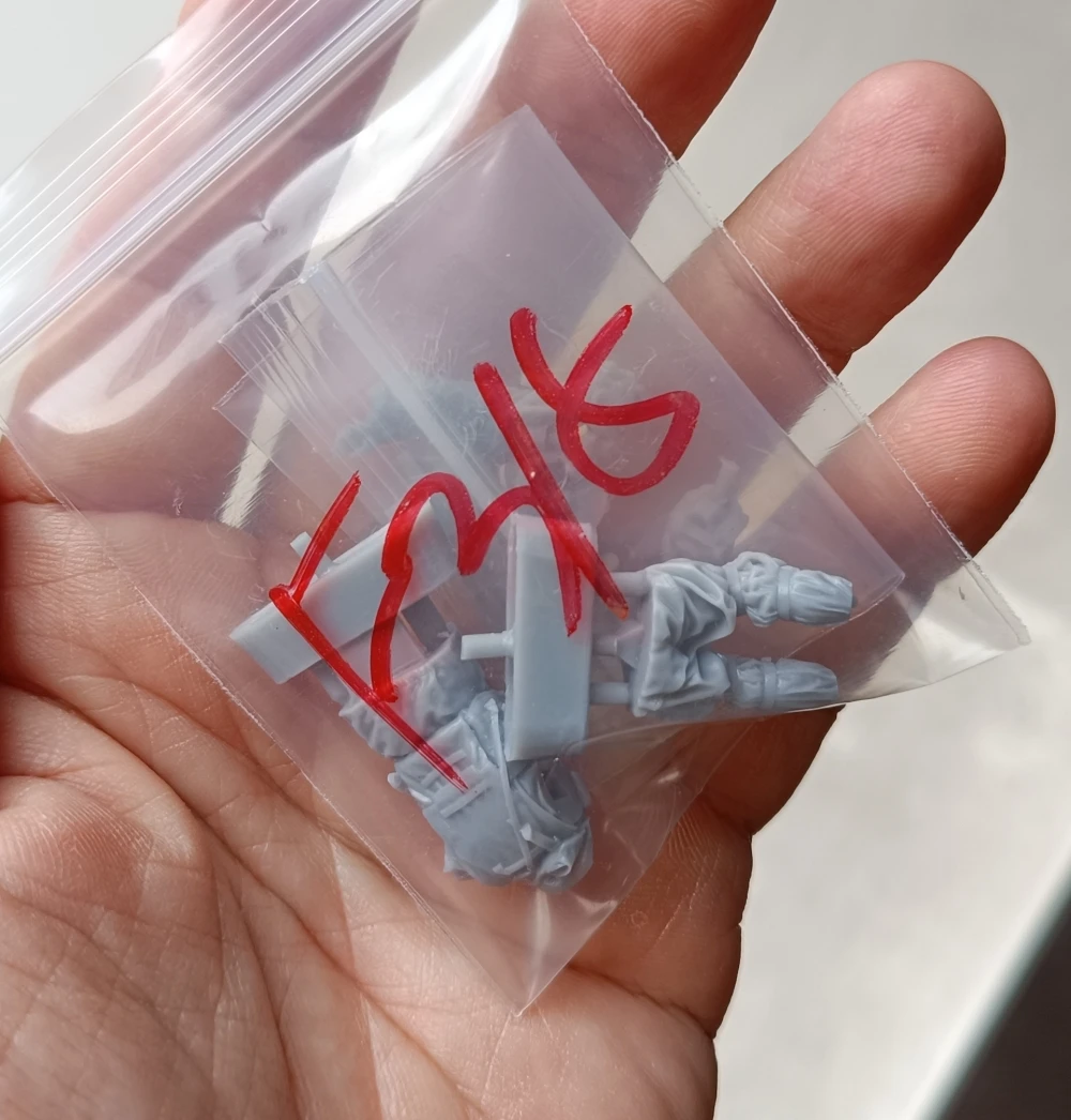 Buyer photo of this resin kit