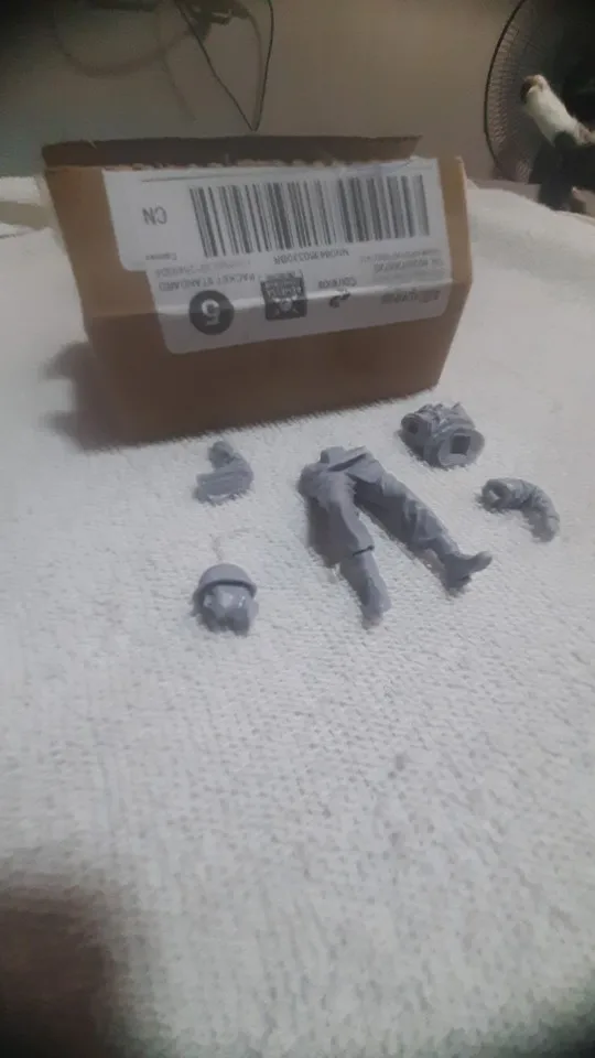 Buyer photo of this resin kit