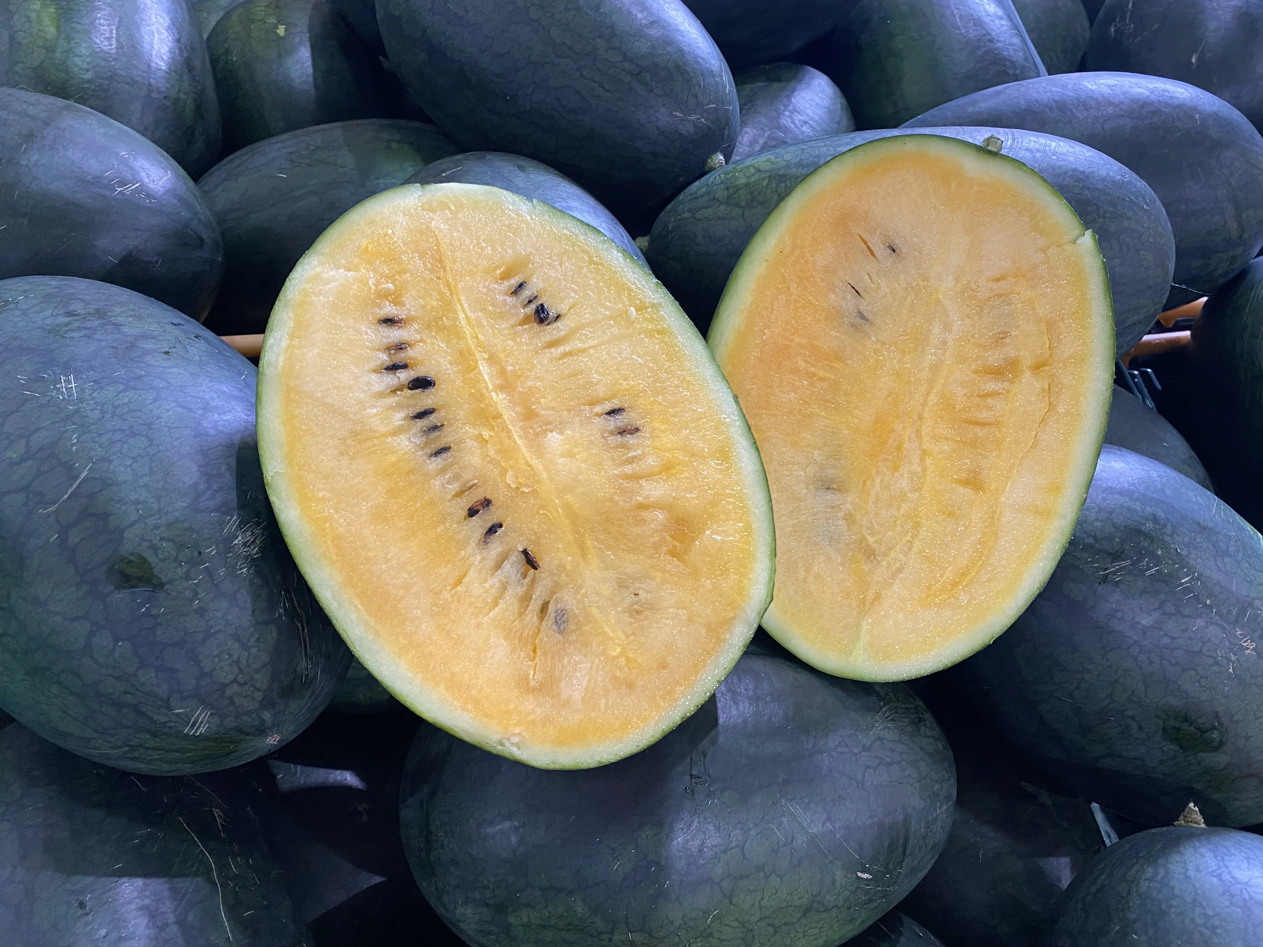 [Super special] high sugar Black Mango Watermelon Yellow yellow watermelon 1.5kg ~ 5kg [CS guaranteed]