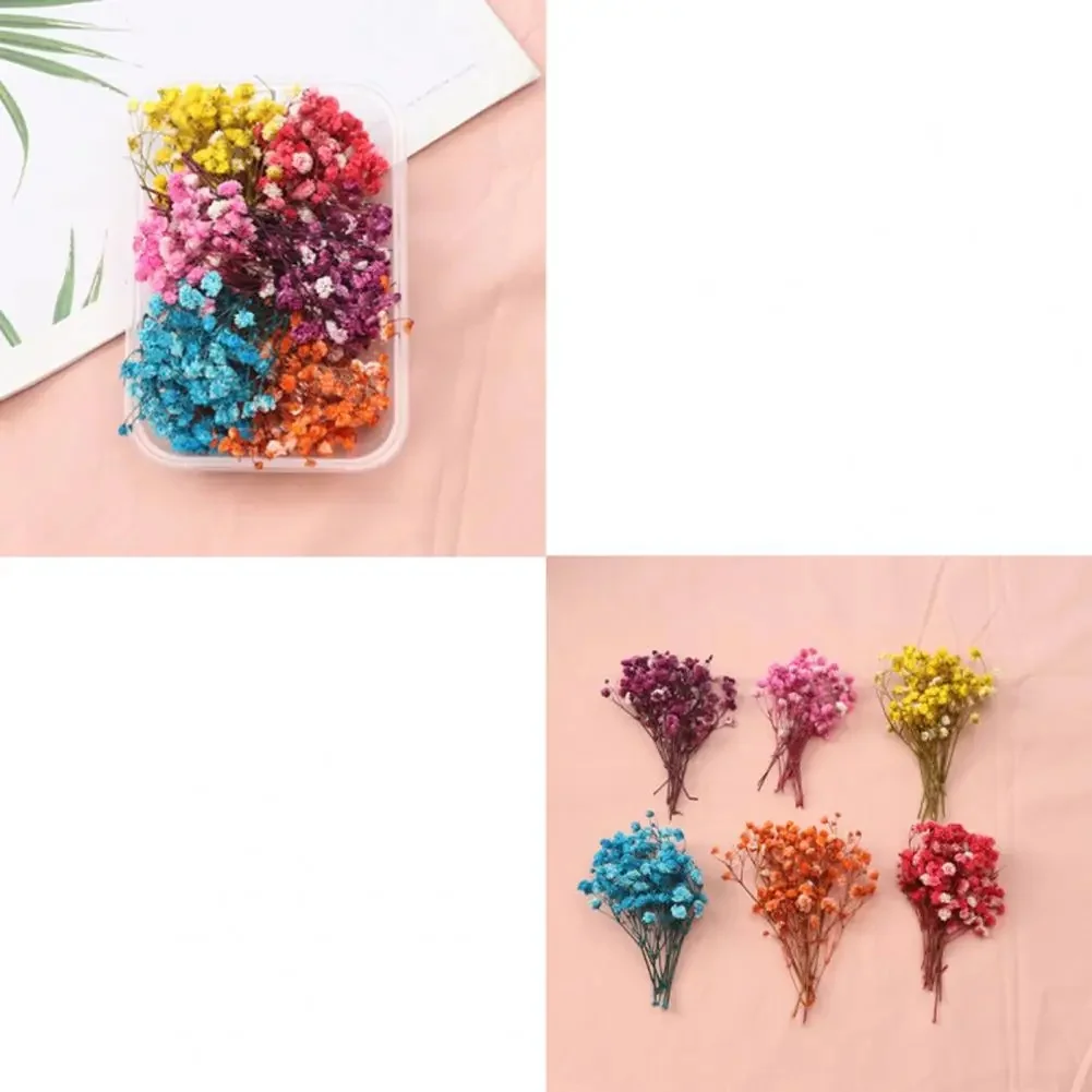 Kit de fleurs séchées naturelles pour la fabrication de bijoux faits à la main, véritables fleurs naturelles, créations de vêtements, bricolage, N64.Crafts, en vrac