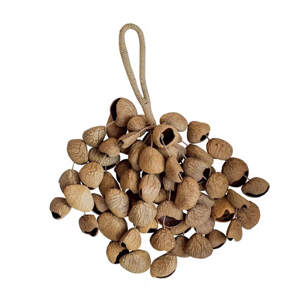 Hand Bell Sound Seed Shell Healing Yoga Instruments Natural Fruit Hand Wind Chime Ju ju/ Cha Cha/ Pangi Percussion Accessories