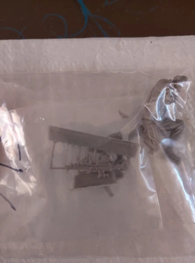 Buyer photo of this resin kit