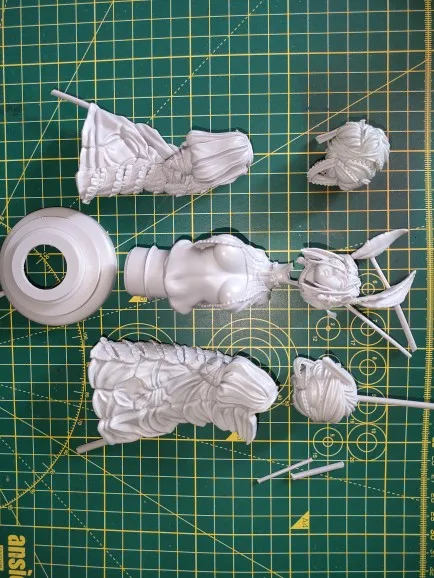 Buyer photo of this resin kit