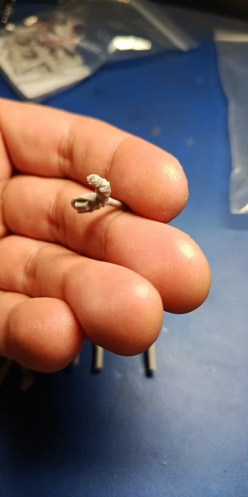 Buyer photo of this resin kit