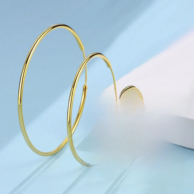 Boucles d'oreilles en acier inoxydable pour femmes, petit grand cercle, cerceau exagéré, boucle d'oreille ronde lisse, bijoux de fête, nouvelle collection