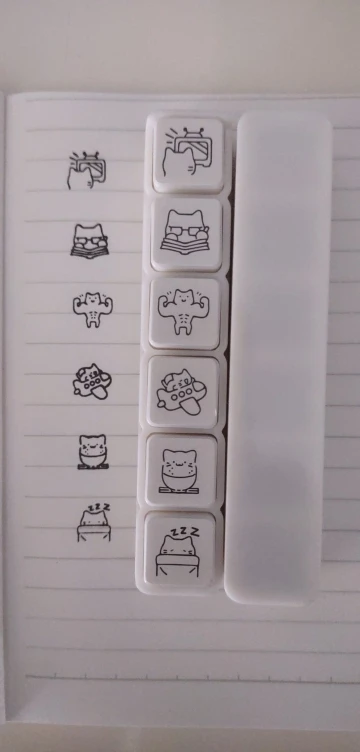 실물 포토 리뷰