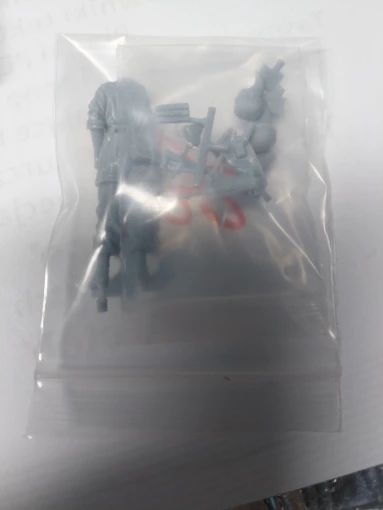 Buyer photo of this resin kit