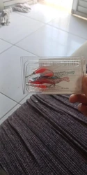 Imagen de reseña 2