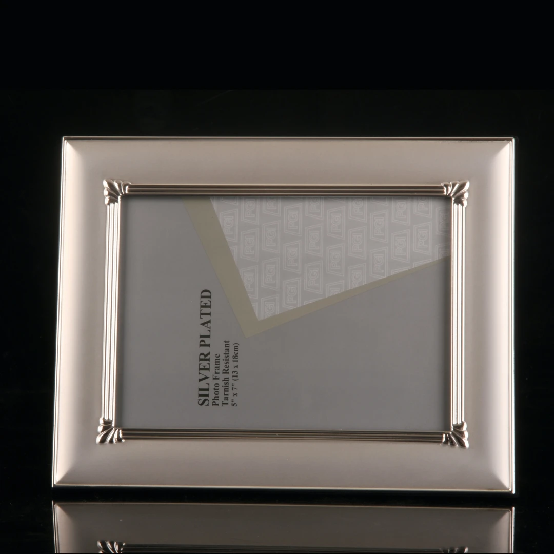 Elegant Silver Edge Photo Frame with Velvet Backing