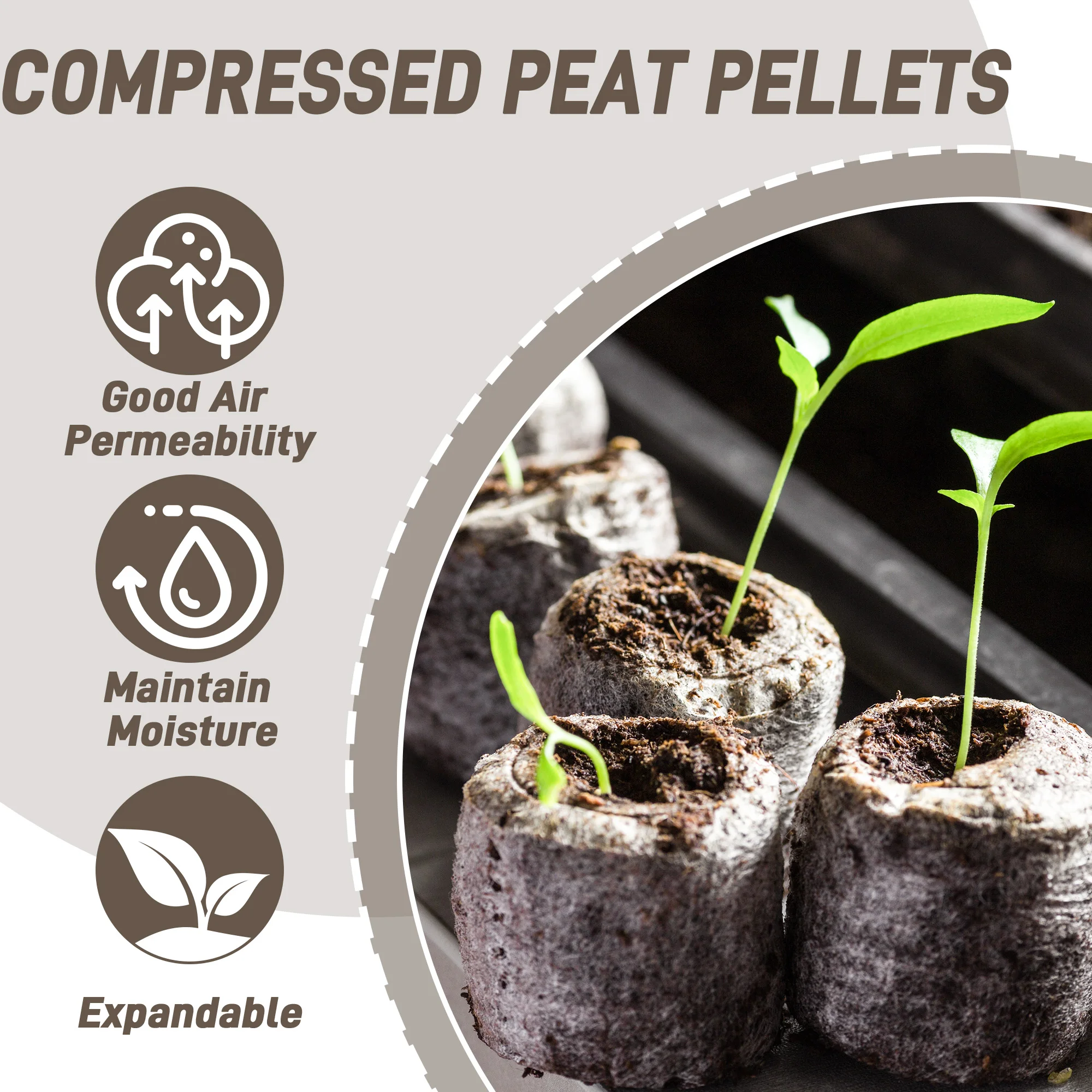 50 szt. 35mm Kompresowane tabl – Peat Pellet Tray recenzja i cena