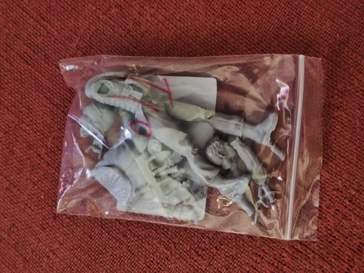 Buyer photo of this resin kit