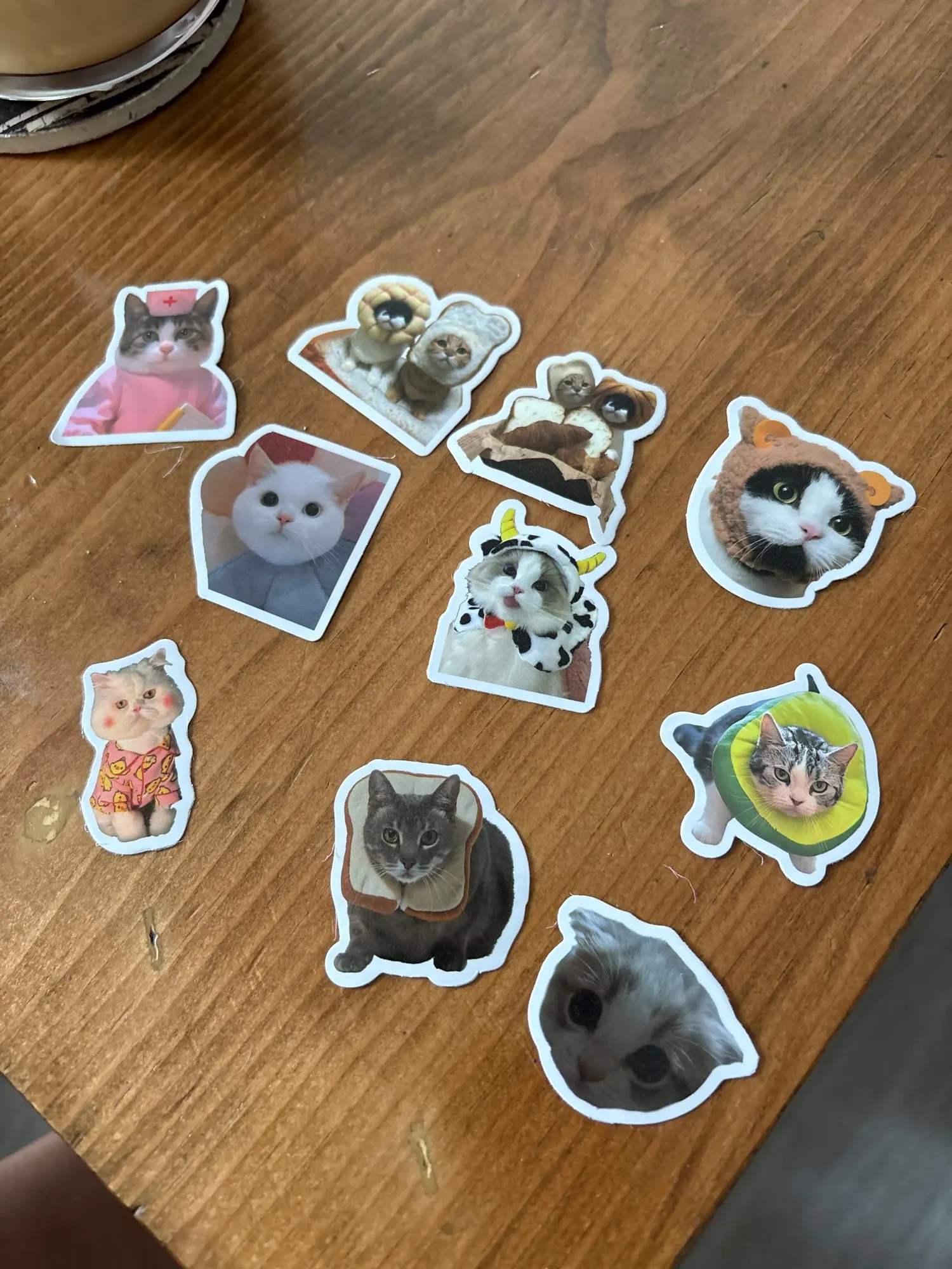 Customer review photo