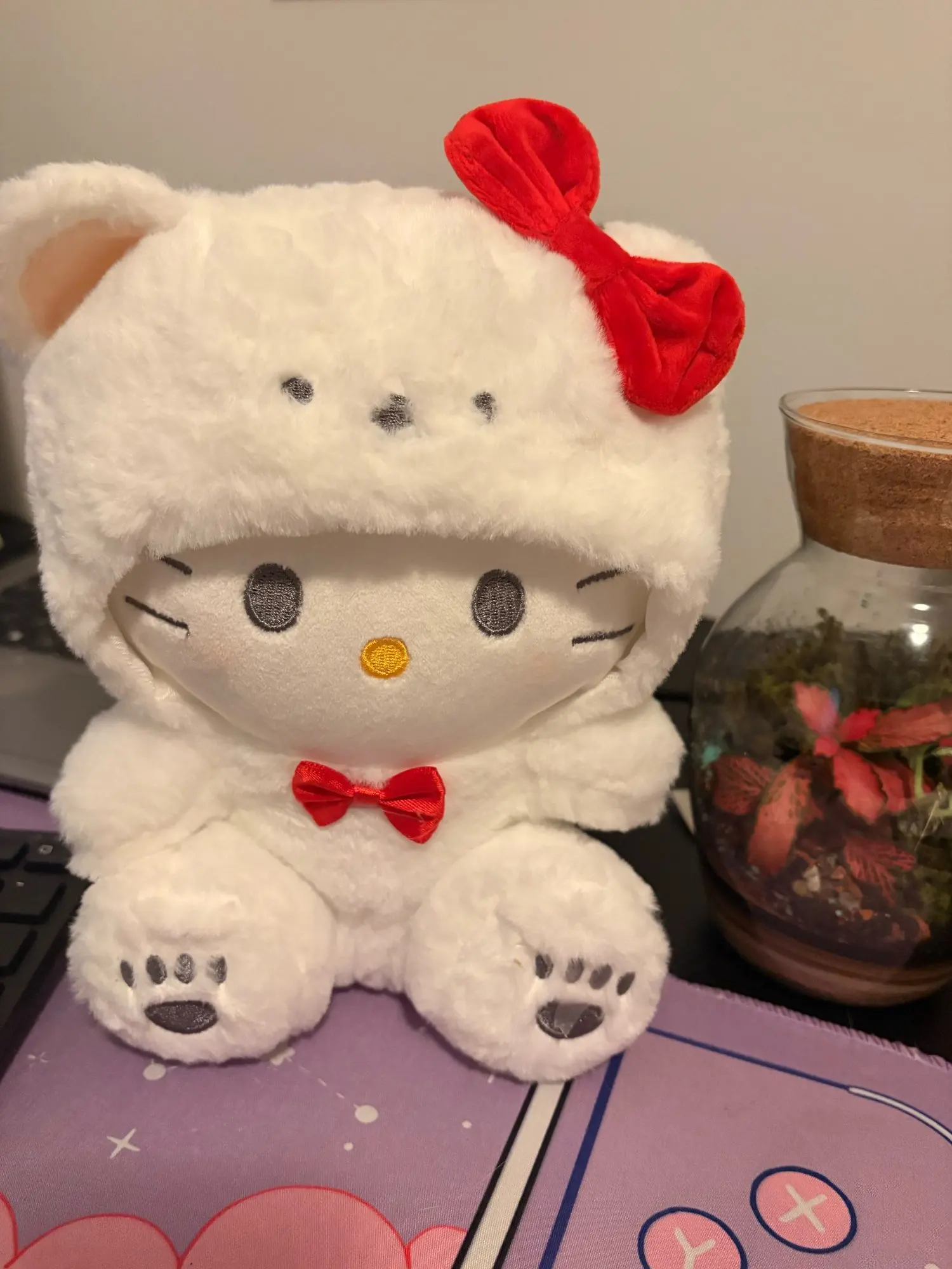 실물 포토 리뷰