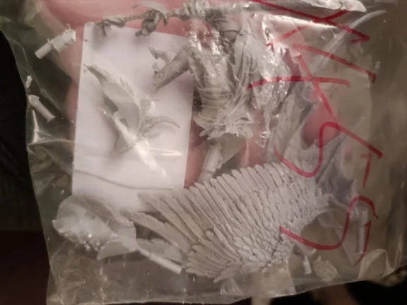 Buyer photo of this resin kit