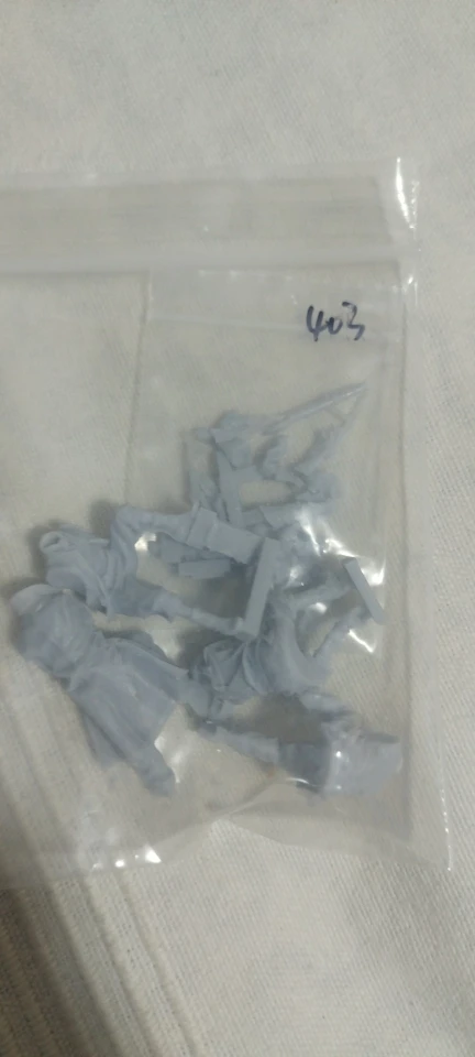 Buyer photo of this resin kit