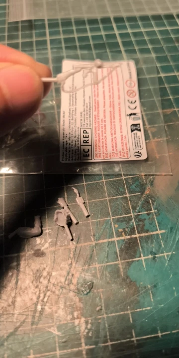 Buyer photo of this resin kit