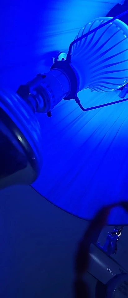 구매후기