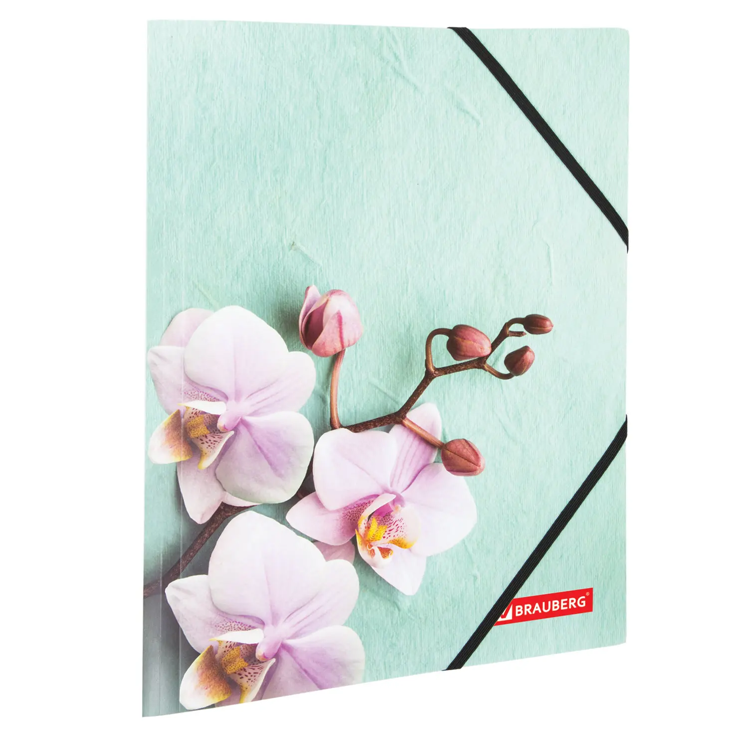 228032 – BRAUBERG FLOWER, A4, coloured printing, up to 300 leaflets, 500 um