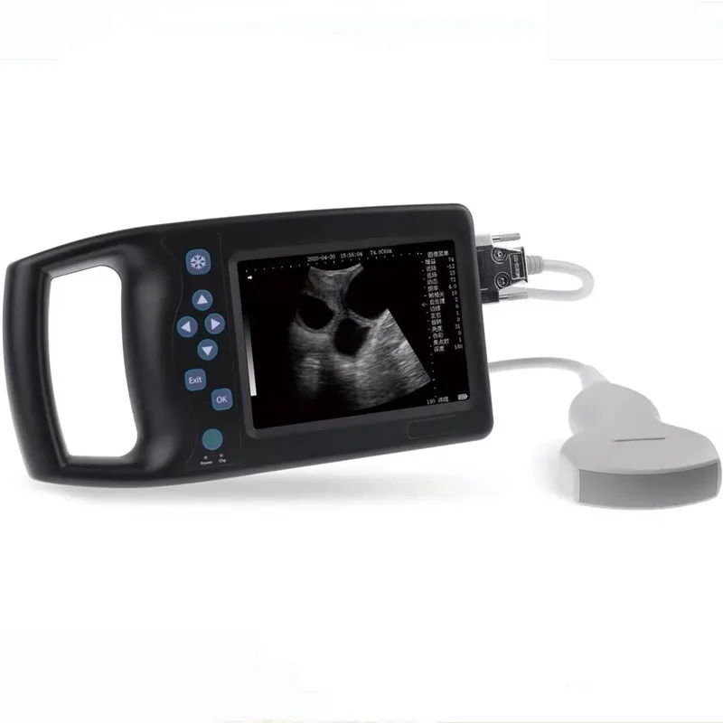 

A6 VET High Definition Ultrasonic Portable Goat Sheep Diagnostic Machine For Animals Pet Veterinary Ultrasound Probe