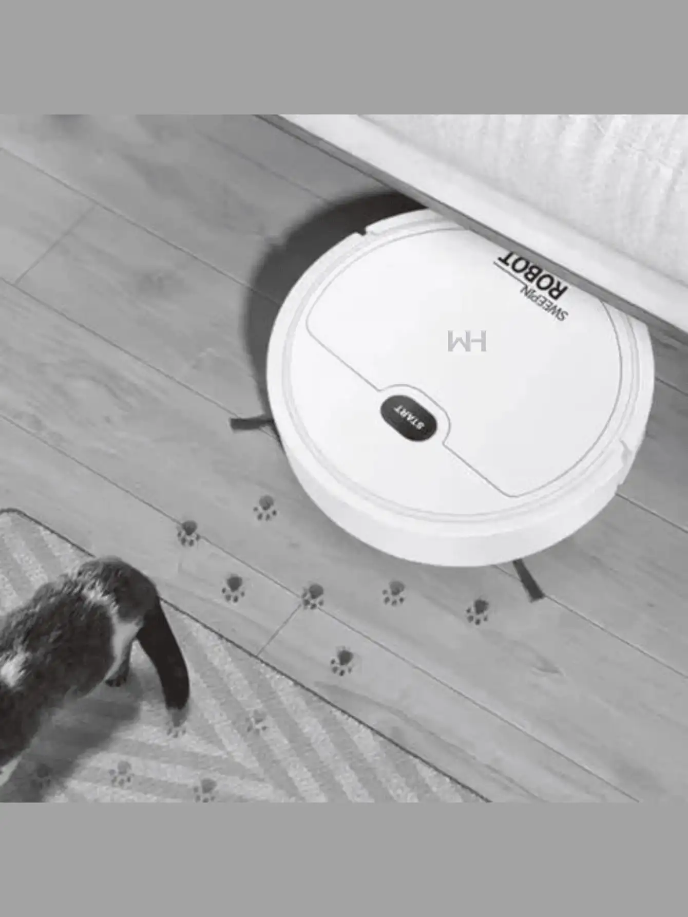 Robot vacuum cleaner, cleaning machine