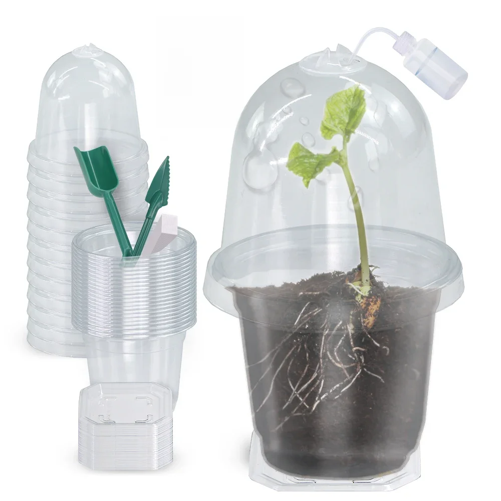 160x90CM Visible Clear Plants Germination Cup Transparent Plastic Nursery Growing Box Indoor Garden Serre Semences Starter Plateau Kits Conteneur Arrosoir Étiquettes Outil De Jardin