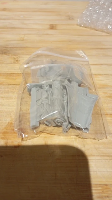 Buyer photo of this resin kit