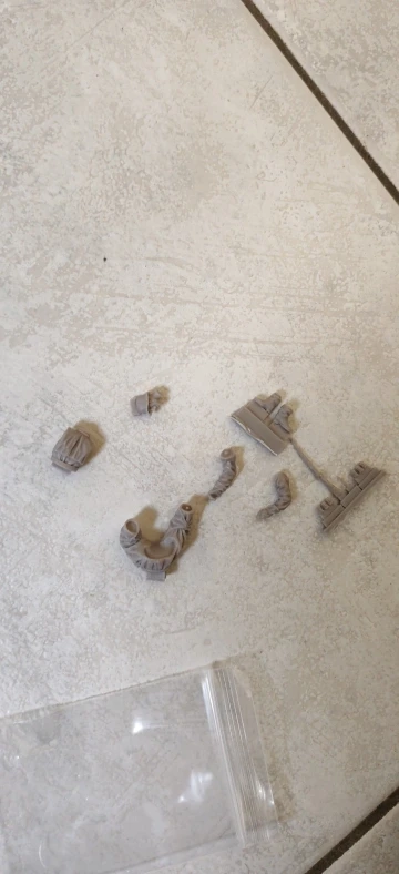 Buyer photo of this resin kit