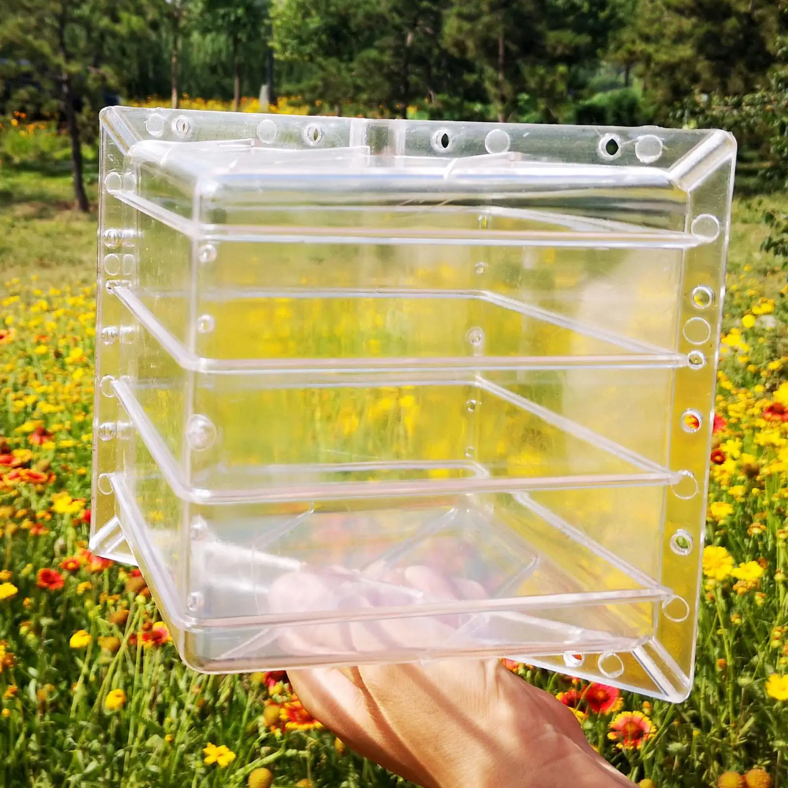 

Square Watermelon Growth Mold Equipment Professional Clear Premium Easy to Use Creative Fruit Mould Tool Forming Shaping Tool