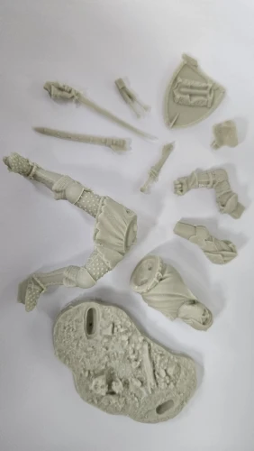 Buyer photo of this resin kit