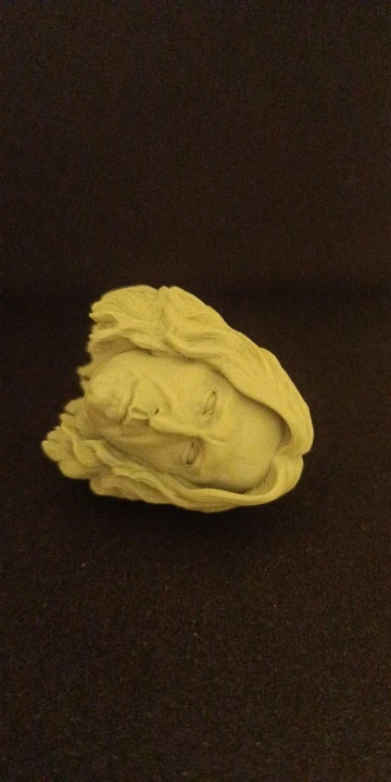 Buyer photo of this resin kit