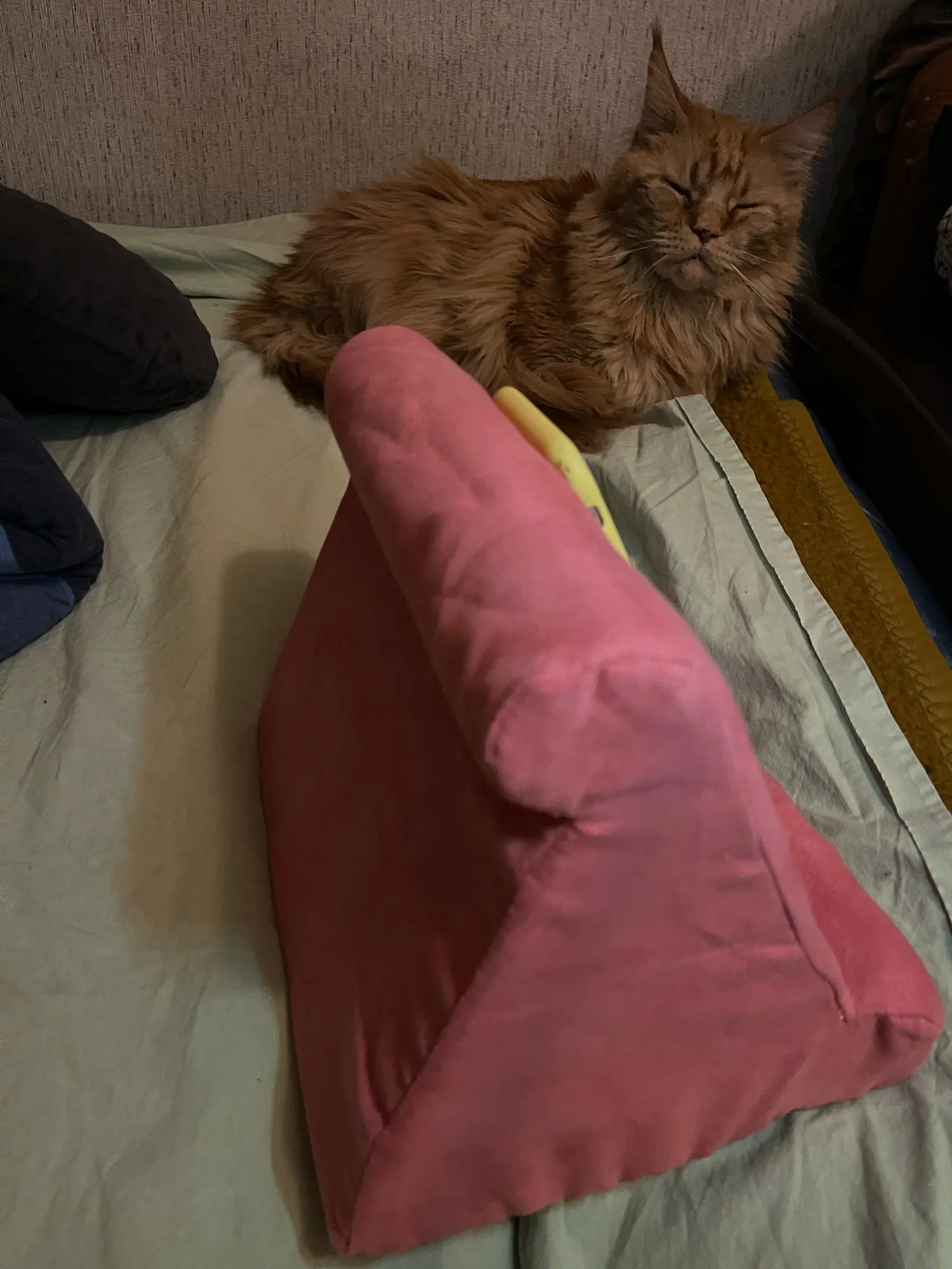 리뷰 사진