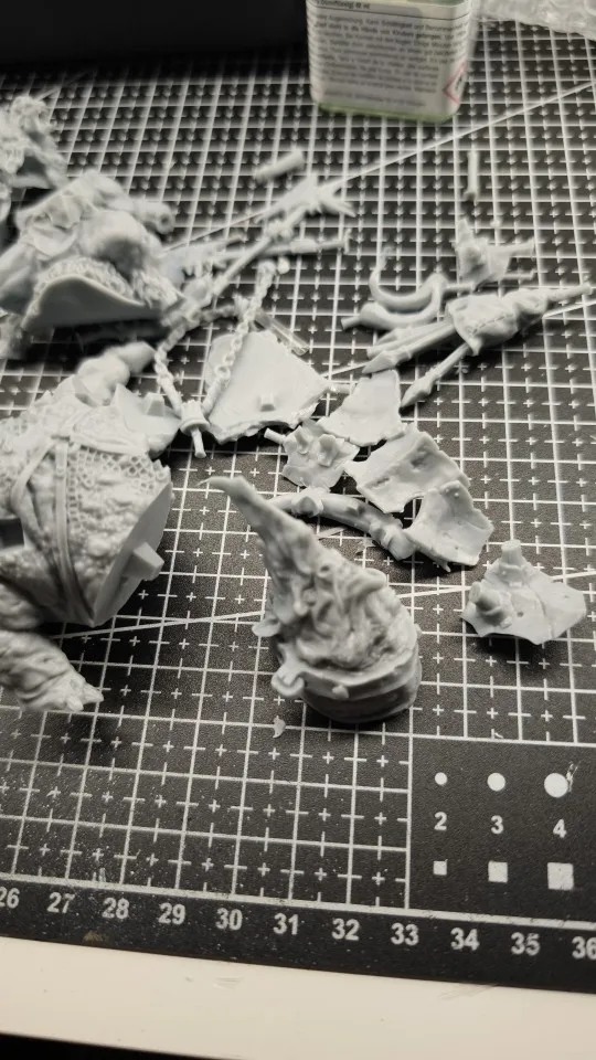 Buyer photo of this resin kit