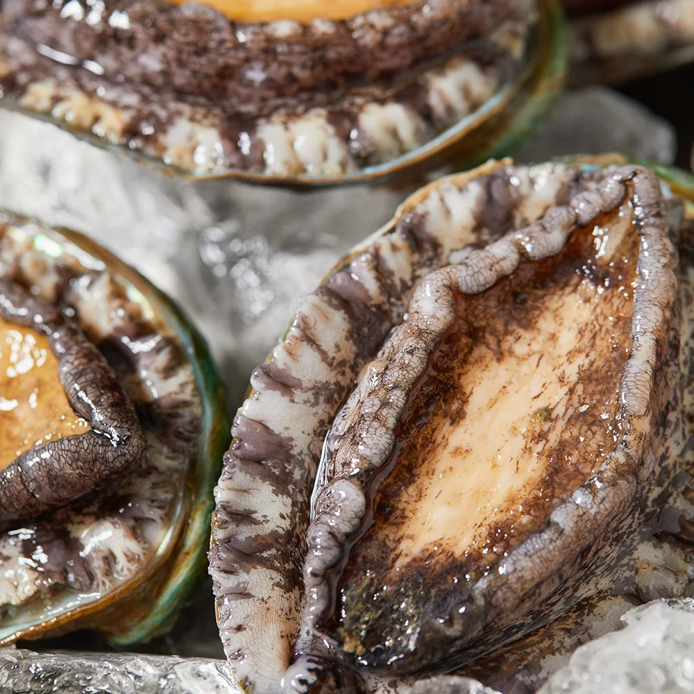 미다몰 그곳에가면 국내산 완도 활 전복 21-25미내외 1kg 소