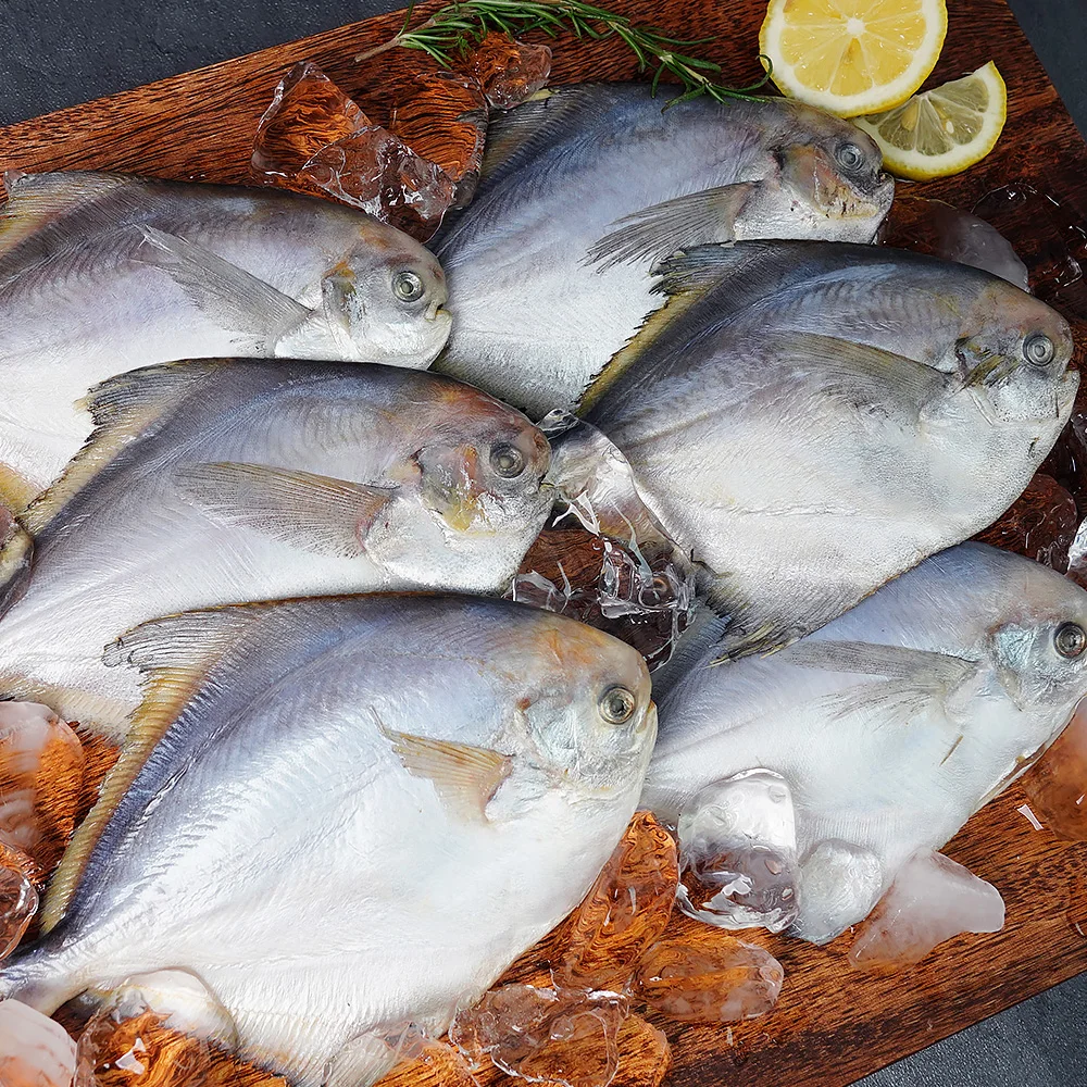 Butterfish That Graced the King’s Table in the Past - Premium Korean Butterfish, 6 Pieces (Approx. 100g Each)