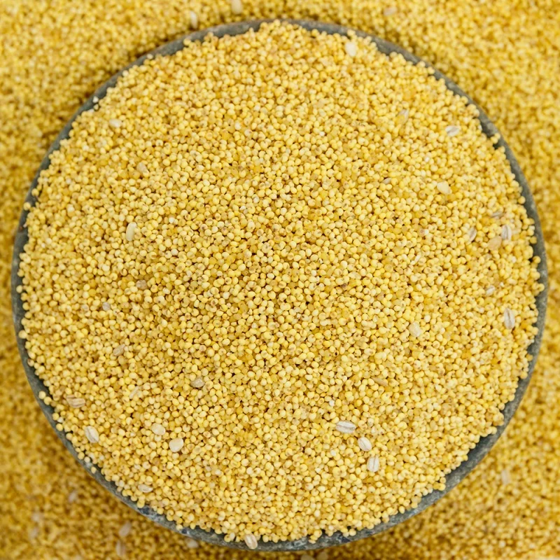 Varillas para embalaje pequeño, paquete con cremallera, grano de arroz amarillo, L, 500g x 2