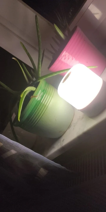 리뷰 사진