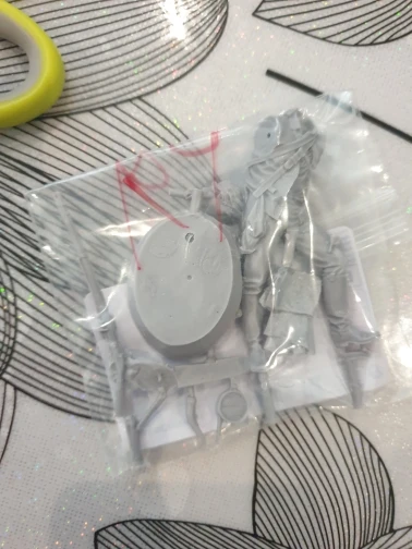 Buyer photo of this resin kit