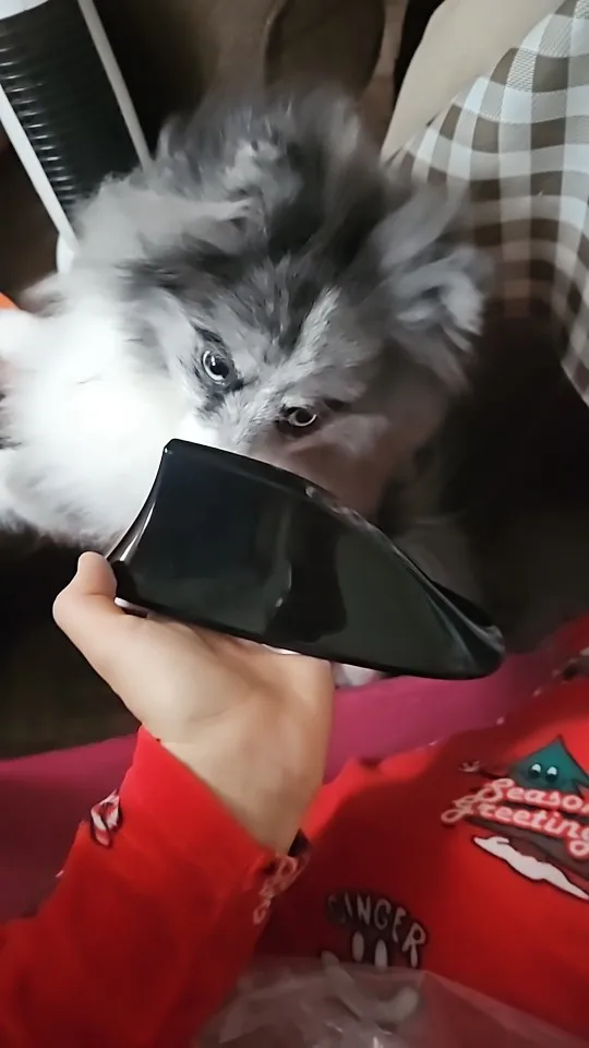 구매후기