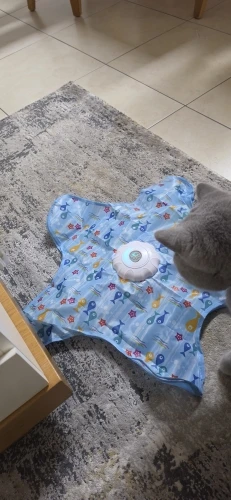 실물 포토 리뷰