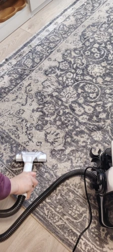 Spot Cleaner 750W 11/15KPa Handheld Carpet Cleaner for Sofa Curtain Spray Suction Integrated Machine Household Clean Machine photo review