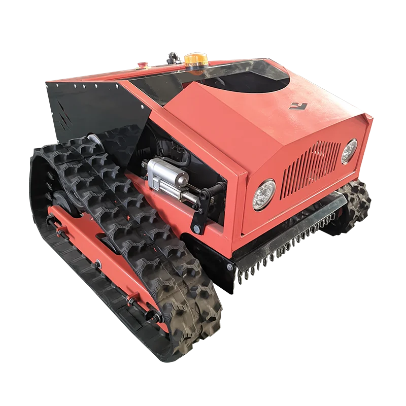 Рисунок 2 - Газонокосилка прямых продаж 2025