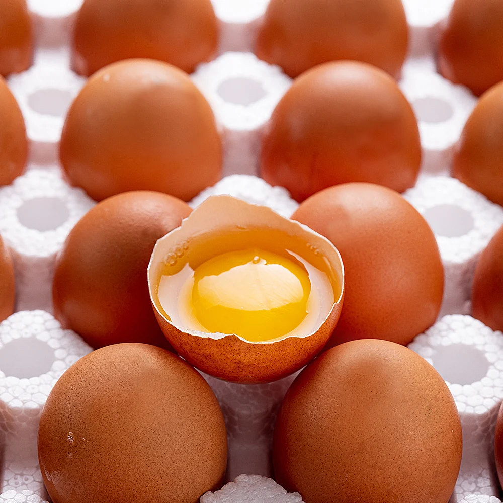 No. 1 huevo fertilizado por radiación natural sin huevos antibióticos