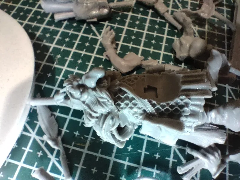 Buyer photo of this resin kit