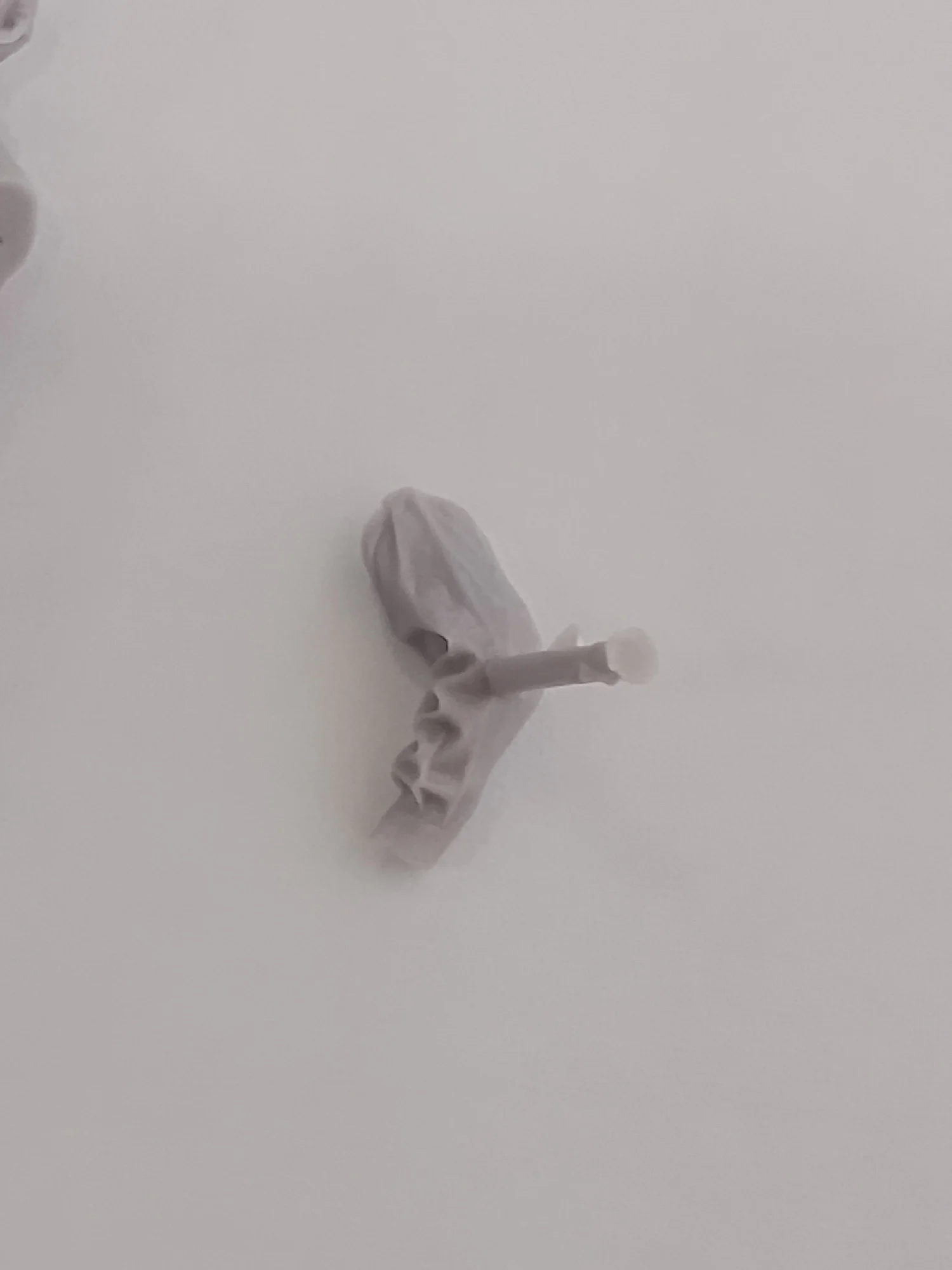 Buyer photo of this resin kit