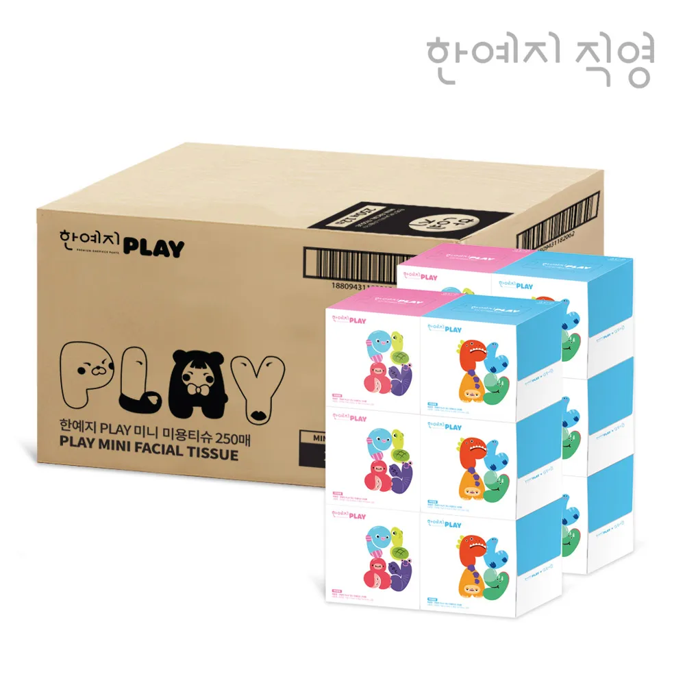 한예지 Play 천연펄프 미니 미용티슈 250매 12입