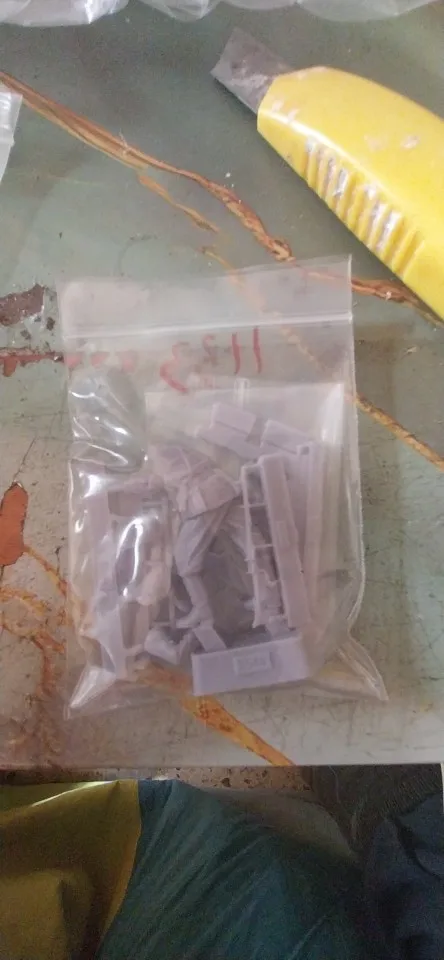 Buyer photo of this resin kit